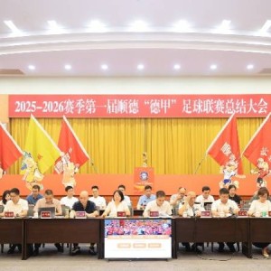 全民足球激活城市经济，第一届顺德“德甲”联赛交出答卷
